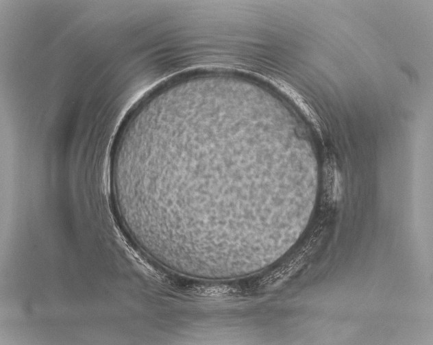 X0000115510791200911201638