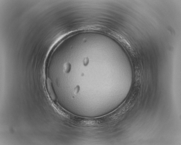 X0000115510792200911201638