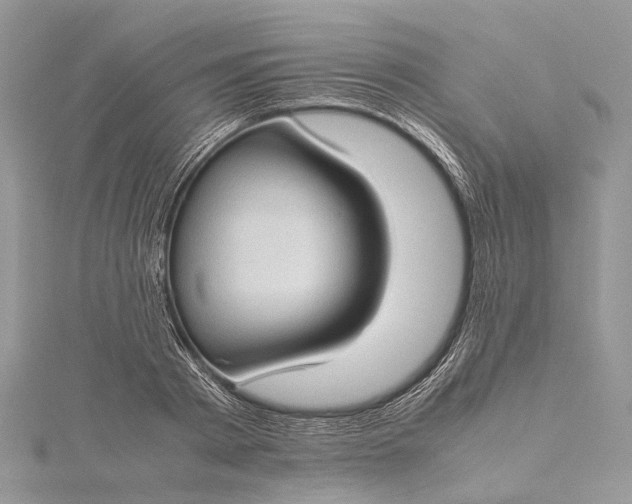 X0000115510793200911201638