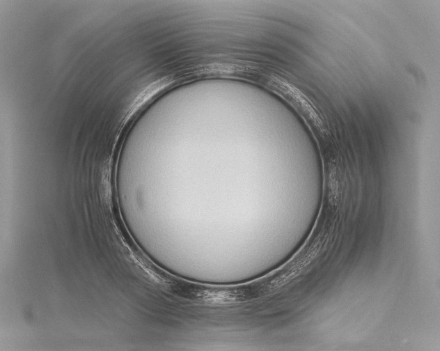 X0000115510794200911201638