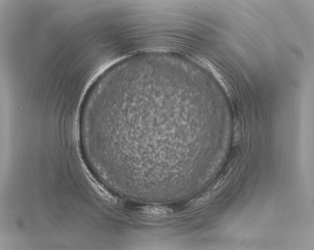 X0000115510795200911201638