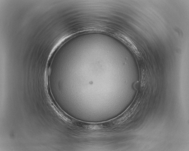 X0000115510796200911201638