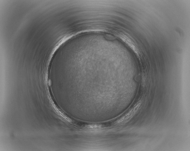 X0000115510797200911201638