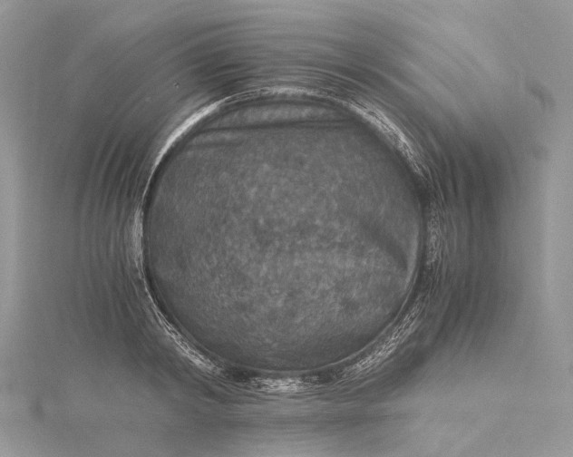 X0000115510798200911201638