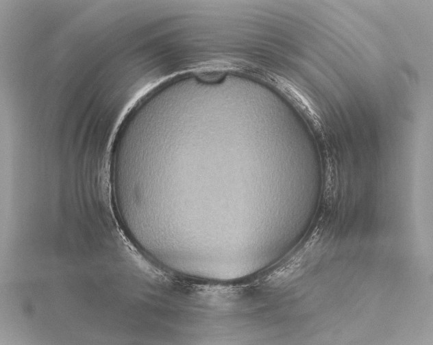 X0000115510800200911201638