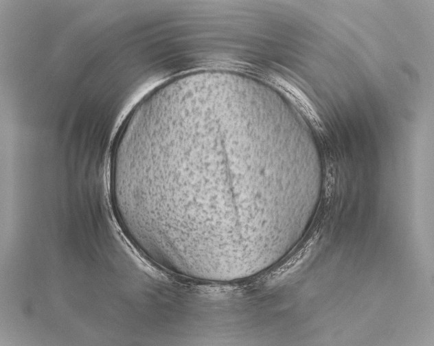 X0000115510804200911201637