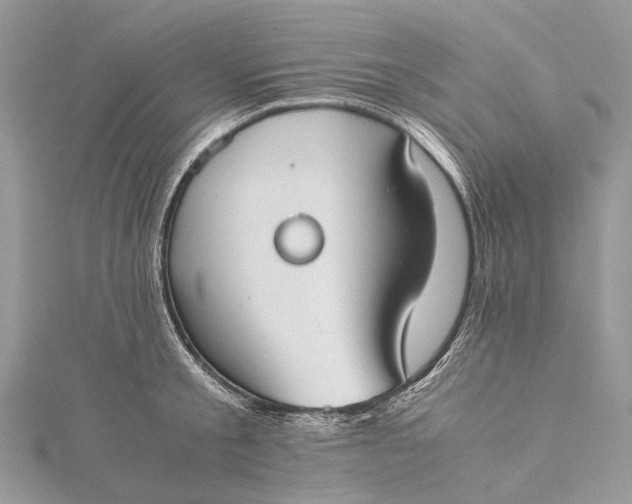 X0000115510805200911201637