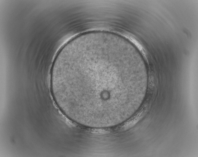 X0000115510807200911201637