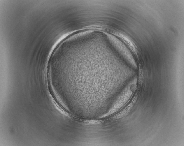 X0000115510808200911201637