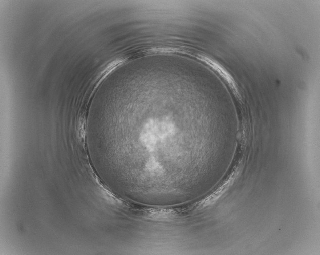 X0000115510809200911201637