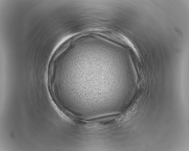 X0000115510811200911201637