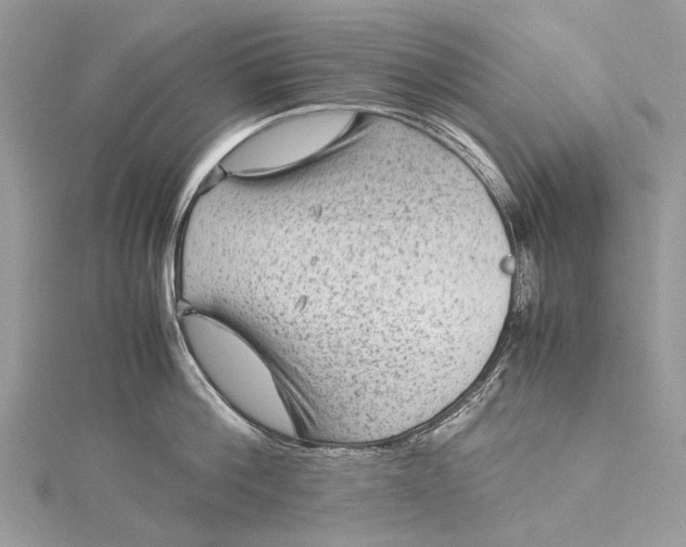 X0000115510812200911201637