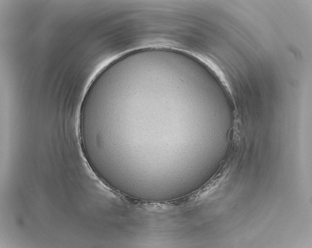 X0000115510815200911201637