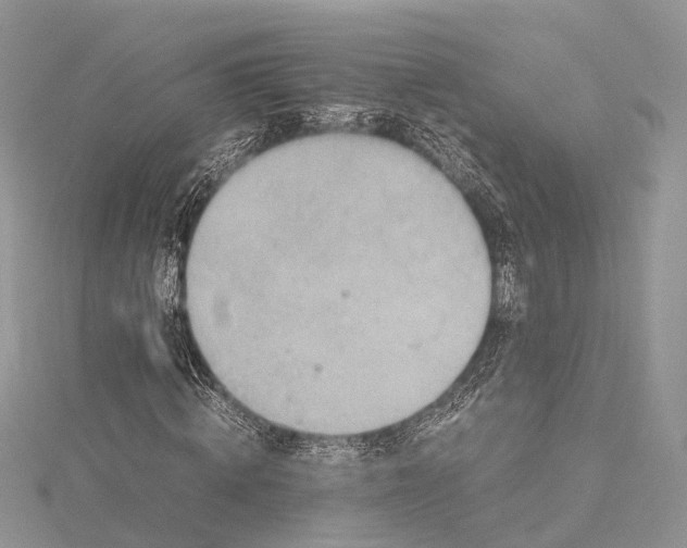 X0000115510820200911201637