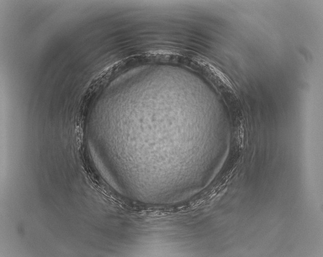 X0000115510821200911201637