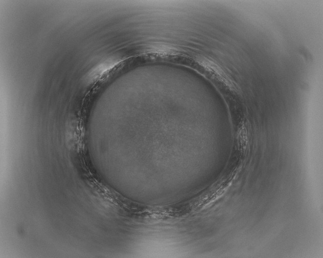 X0000115510822200911201637