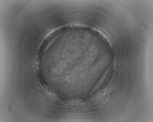 X0000115510823200911201637