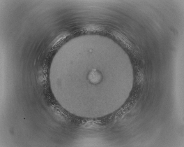 X0000115510824200911201637