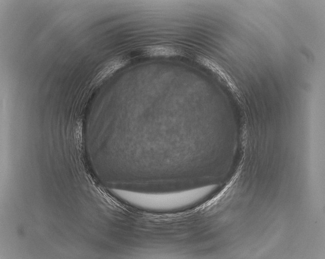 X0000115510825200911201637