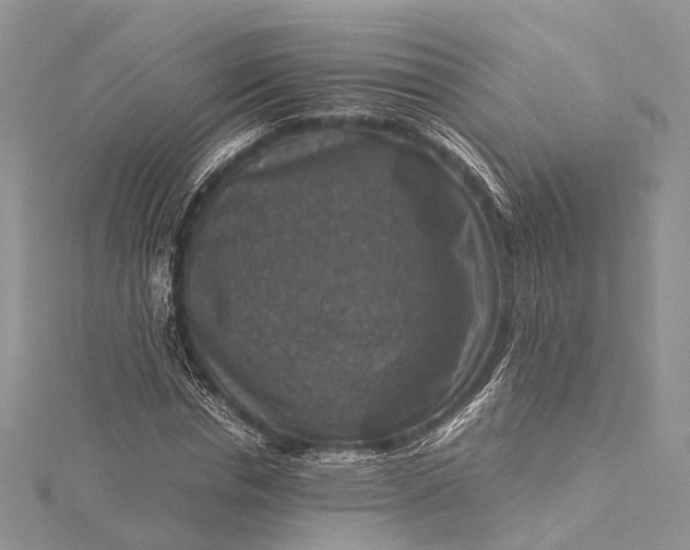 X0000115510826200911201637