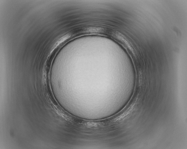 X0000115510827200911201637