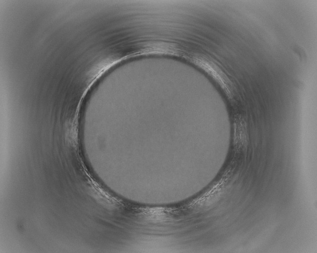 X0000115510828200911201637