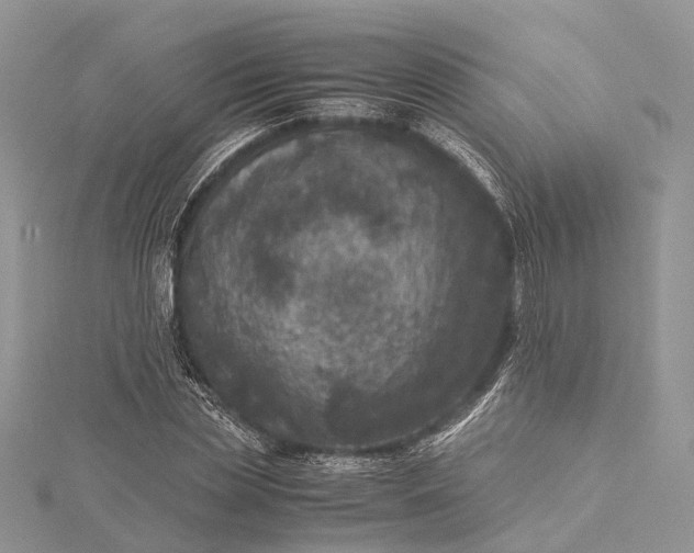 X0000115510829200911201637