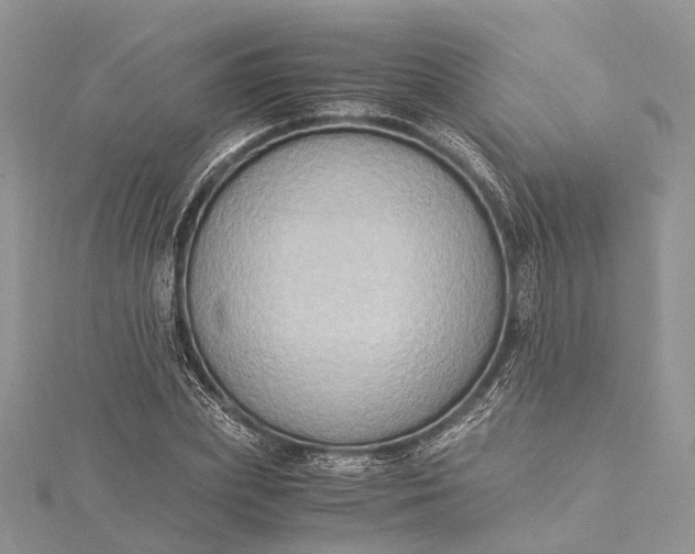 X0000115510831200911201637