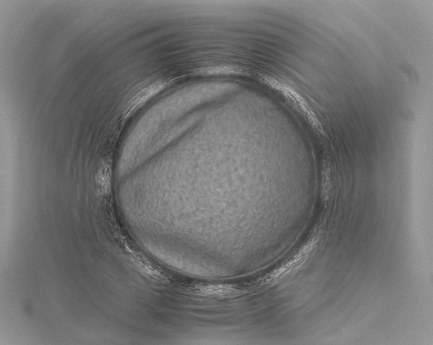 X0000115510833200911201637