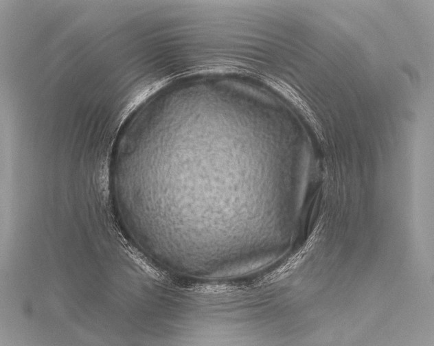 X0000115510834200911201637