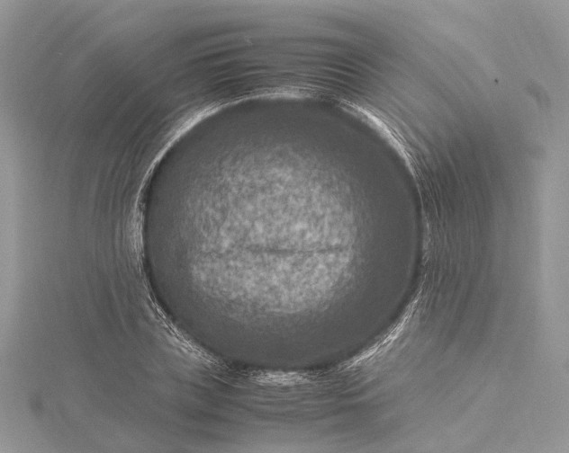 X0000115510835200911201637