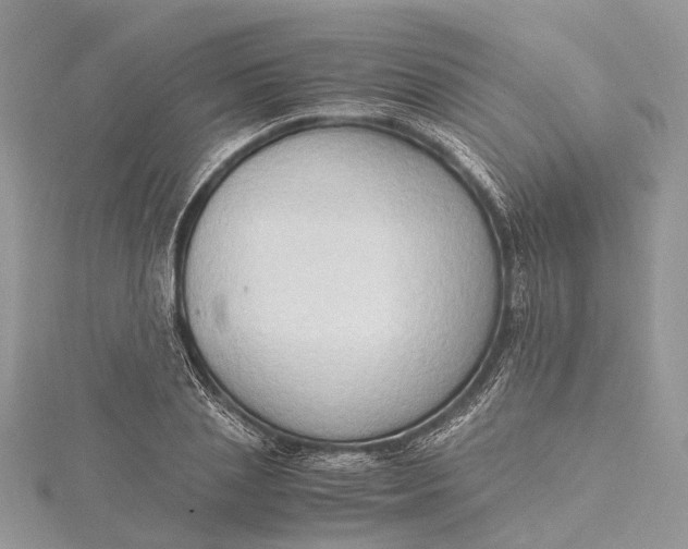 X0000115510837200911201637