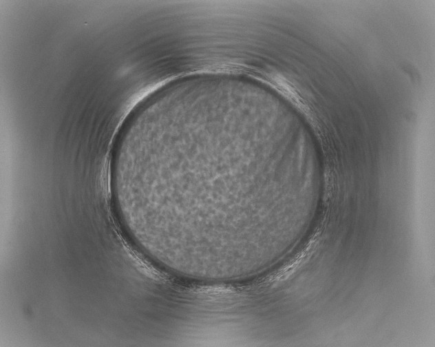 X0000115510838200911201637