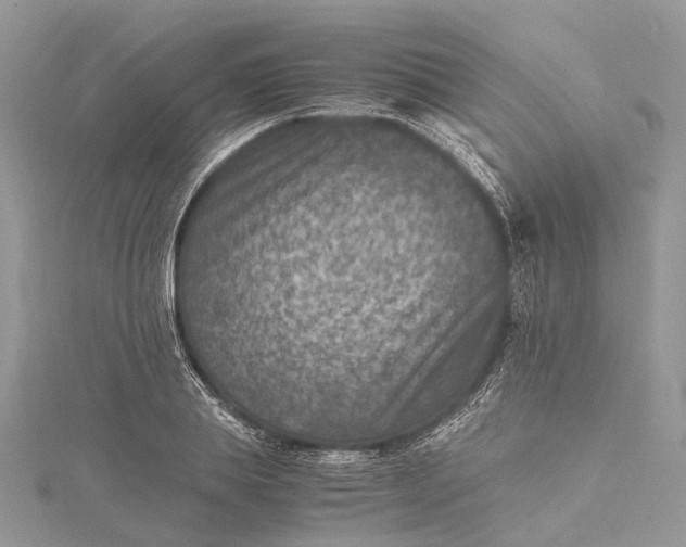 X0000115510839200911201637