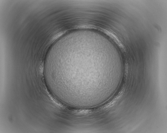 X0000115510841200911201637