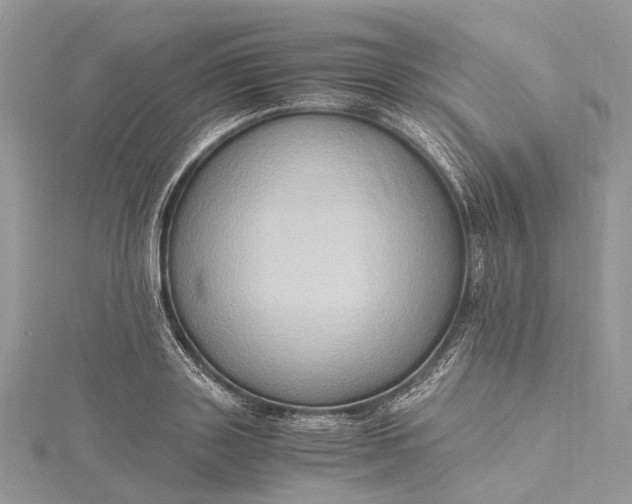 X0000115510843200911201637