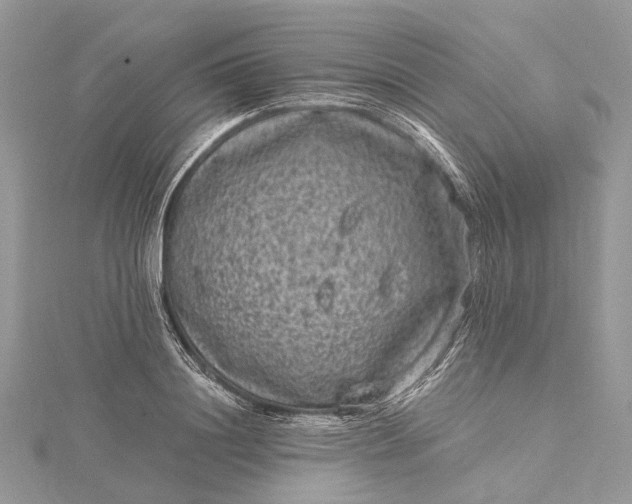 X0000115510844200911201637