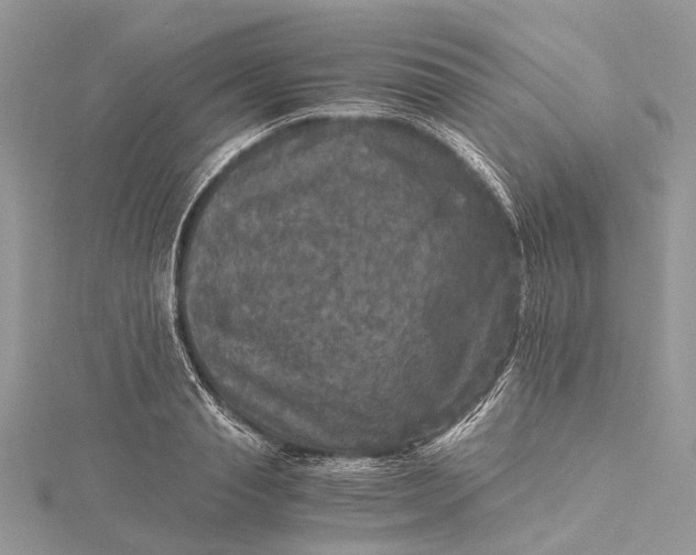 X0000115510845200911201637