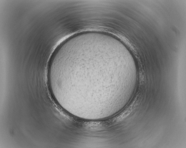 X0000115510846200911201637