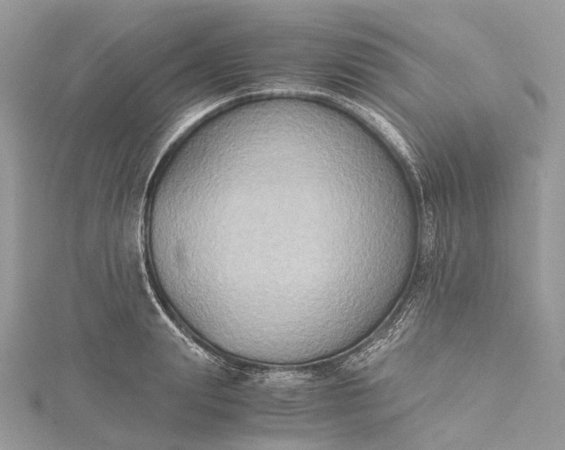 X0000115510847200911201637