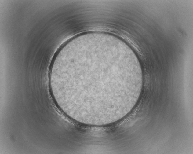 X0000115510848200911201637