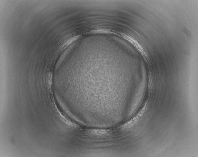 X0000115510849200911201637