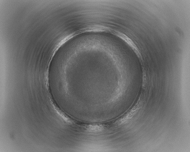 X0000115510850200911201637