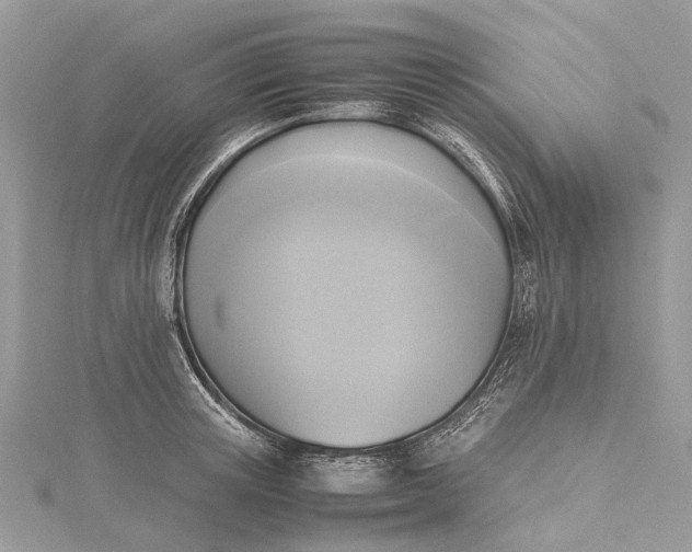 X0000115510851200911201637