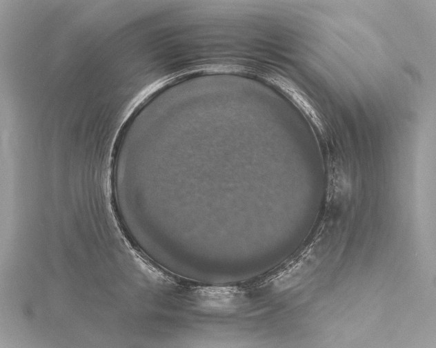 X0000115510853200911201637