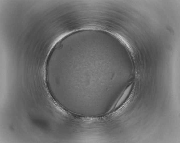 X0000115510854200911201637