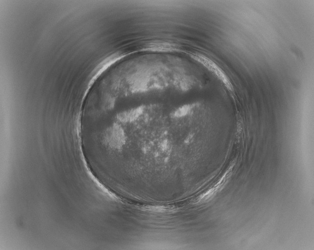 X0000115510855200911201637