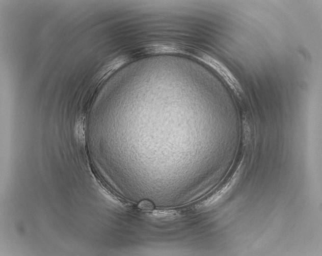 X0000115510857200911201637