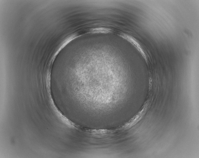 X0000115510859200911201637