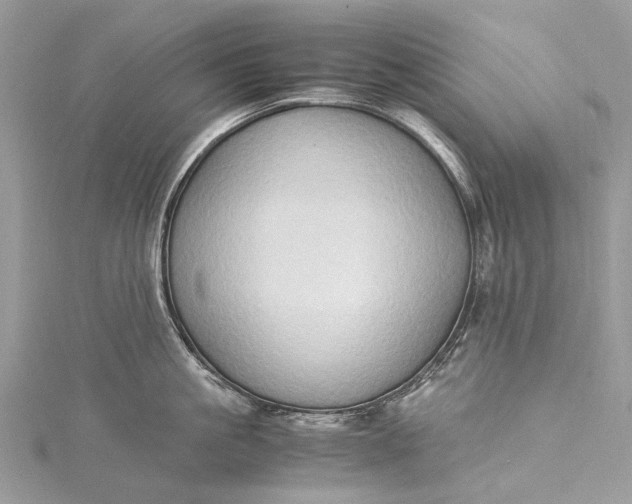 X0000115510861200911201637